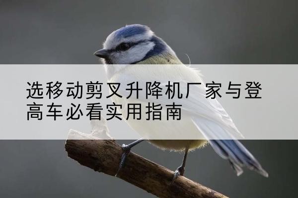祁东电动升降机厂家-选移动剪叉升降机厂家与登高车必看实用指南