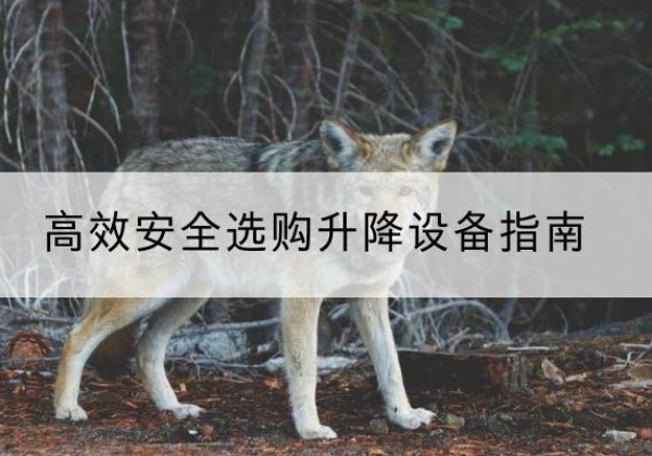 祁东升降货梯厂家推荐-*安全选购升降设备指南