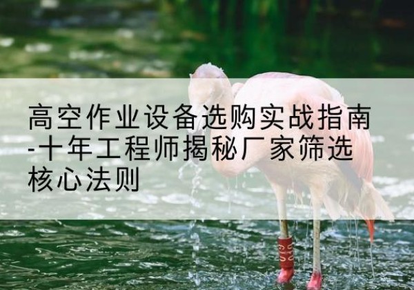 祁东剪叉式升降机厂家-高空作业设备选购实战指南-十年工程师揭秘厂家筛选核心法则